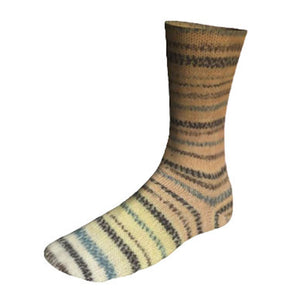 Lang Twin Soxx Watercolour wool nylon 0462 blake