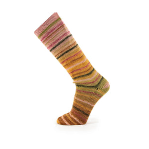 Concept by Katia Symmetris Socks and More wool polyamide 40 rose camel green