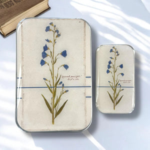 Firefly Notes Notions Tin resin bellflower