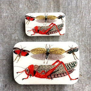 Firefly Notes Notions Tin resin cricket