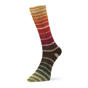 Estelle Evolution Aurora Sock superwash wool nylon q60802 iridescent