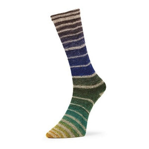 Estelle Evolution Aurora Sock superwash wool nylon q60804 terra