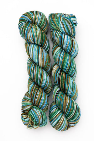 Biscotte Yarns Bis-sock wool nylon heureux d'un printemps