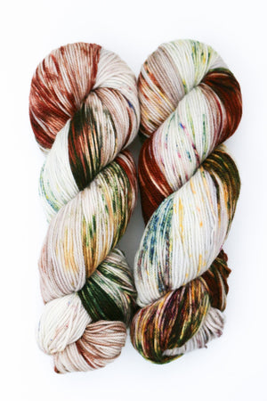 Ancient Arts Socknado superwash merino nylon horseshoe canyon