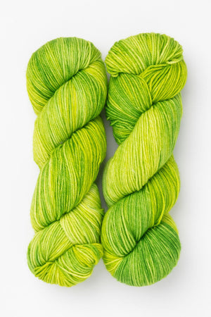 Ancient Arts Socknado superwash merino nylon new leaves