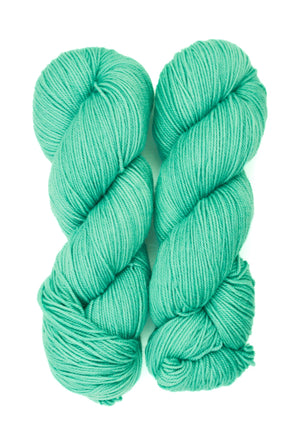 Ancient Arts Socknado superwash merino nylon puddle jumper