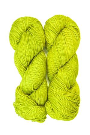 Ancient Arts Socknado superwash merino nylon radioactive