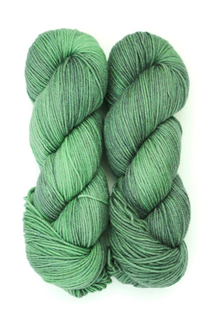 Ancient Arts Socknado superwash merino nylon salal jungle