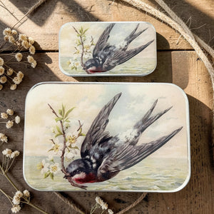 Notions Tin