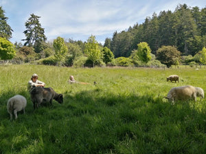 Tideview Farm, or "What do you do out there?"