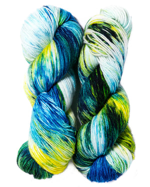 Ancient Arts Socknado superwash merino nylon vancouver