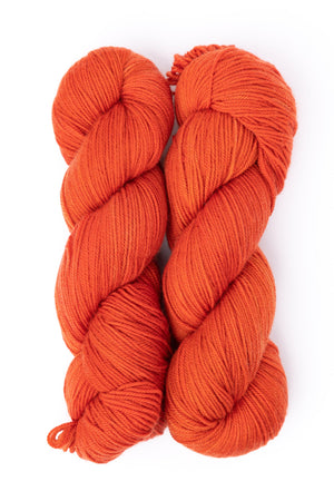 Ancient Arts Socknado superwash merino nylon hearthside