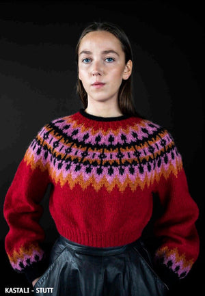 Istex Lopi Book #42 pattern book kastali sweater