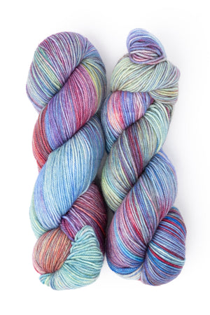 Ancient Arts Socknado superwash merino nylon peggy's cove