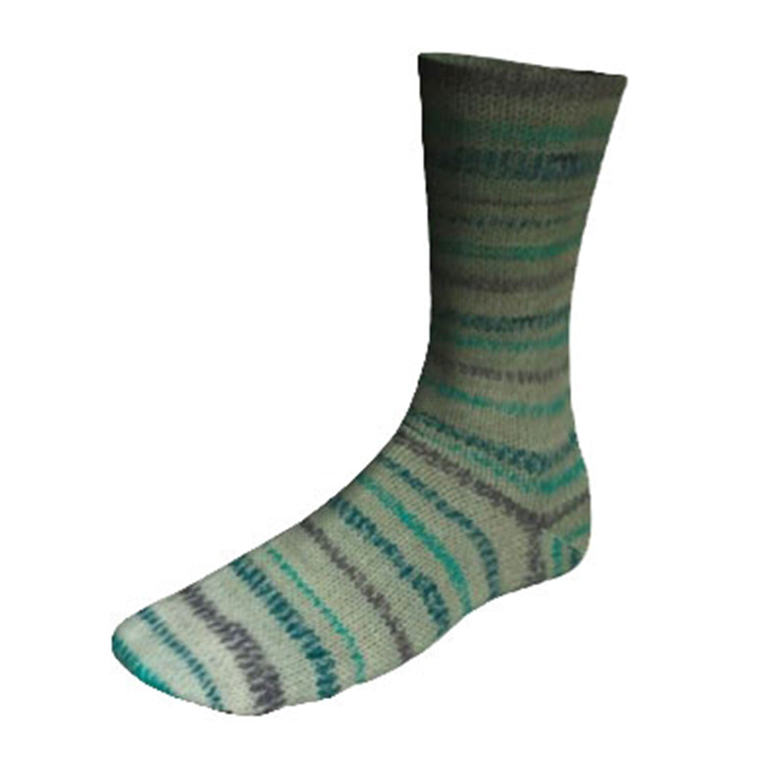 Lang Twin Soxx Watercolour wool nylon 0460 whistler