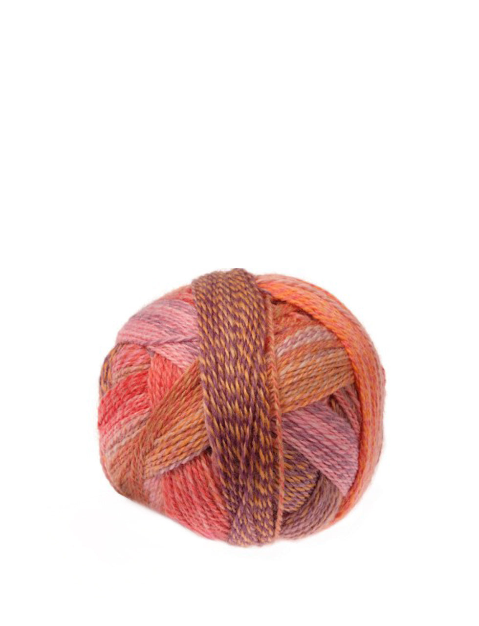 Schoppel Wolle Zauberball Crazy superwash wool nylon 2546 warm botanical garden