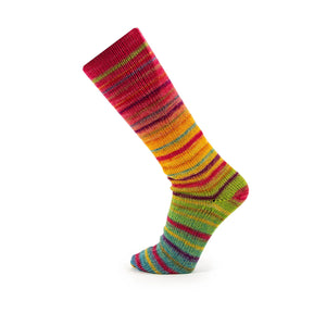 Concept by Katia Symmetris Socks and More wool polyamide 42 brown red black