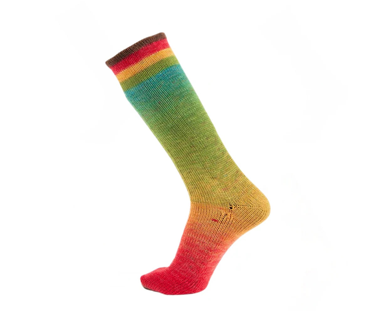 Concept By Katia Symmetric Socks and More Degrade superwash wool polyamide 85 brown red green blue yellow