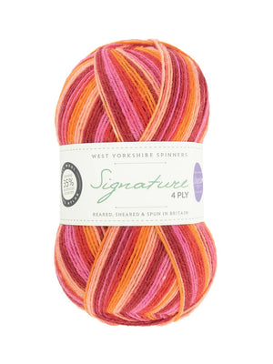 West Yorkshire Spinners Signature 4-ply wool nylon 881 summer sunset