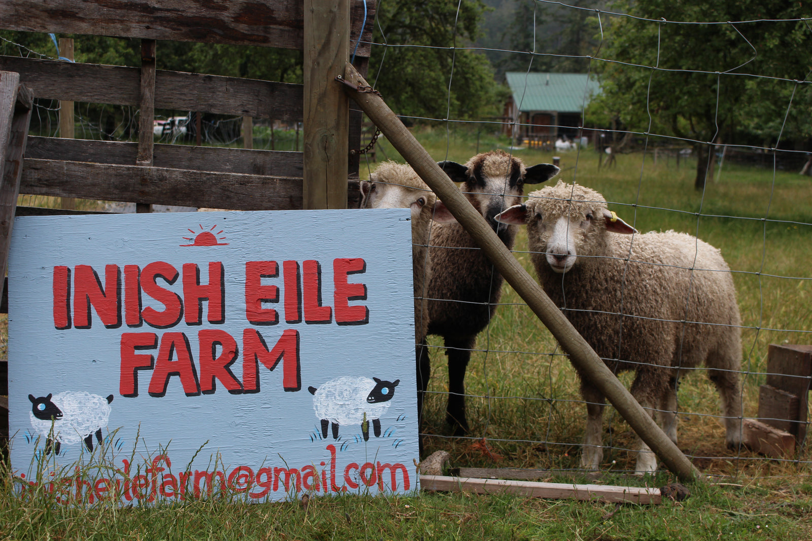 Farming on Pender Island: Martha McMahon of Inish Eile Farm