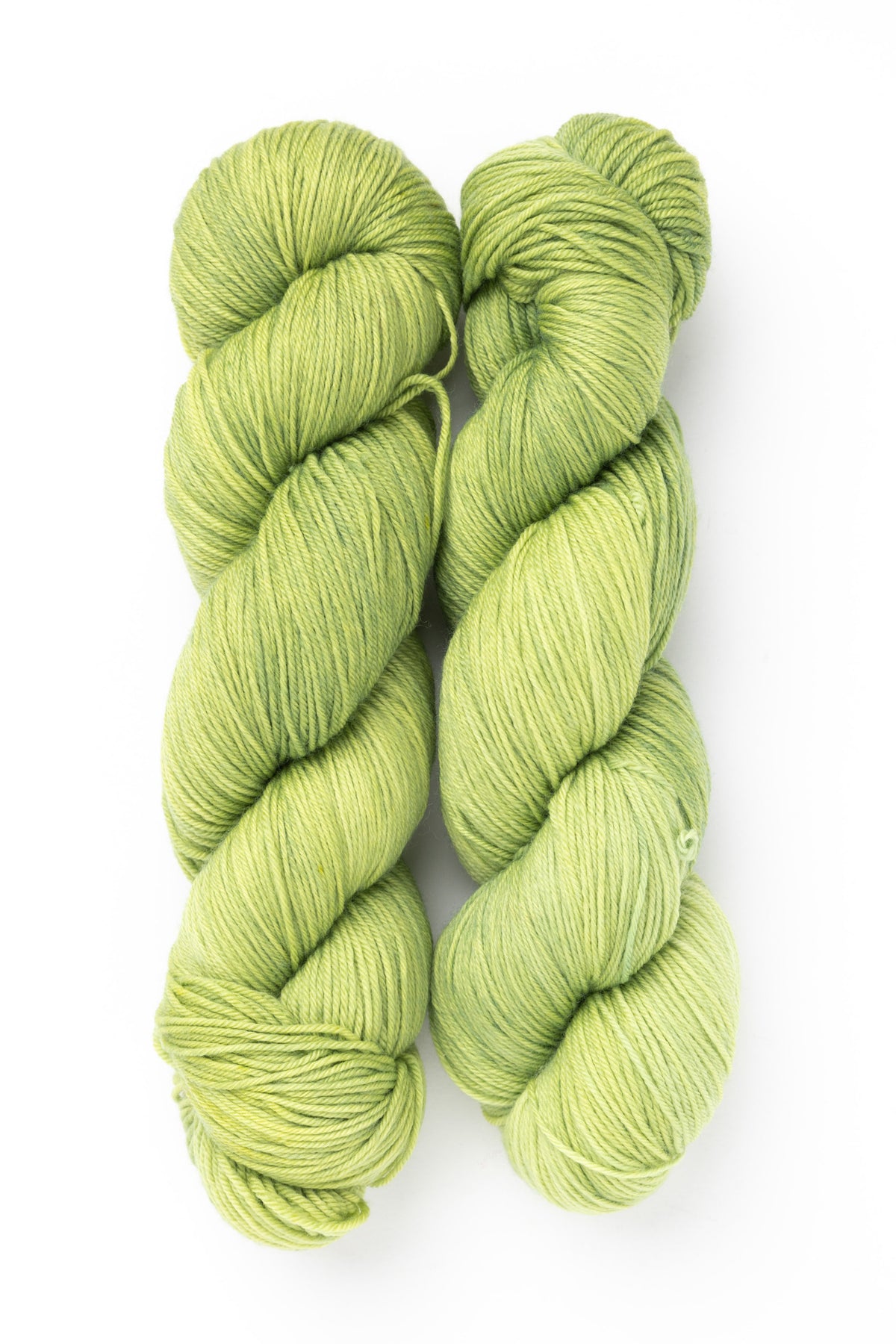 Gathering Yarn Landscapes Kelp