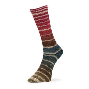 Estelle Evolution Aurora Sock superwash wool nylon q60803 horizon