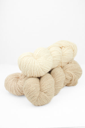 Compass Shawl Kit in Hinterland Range