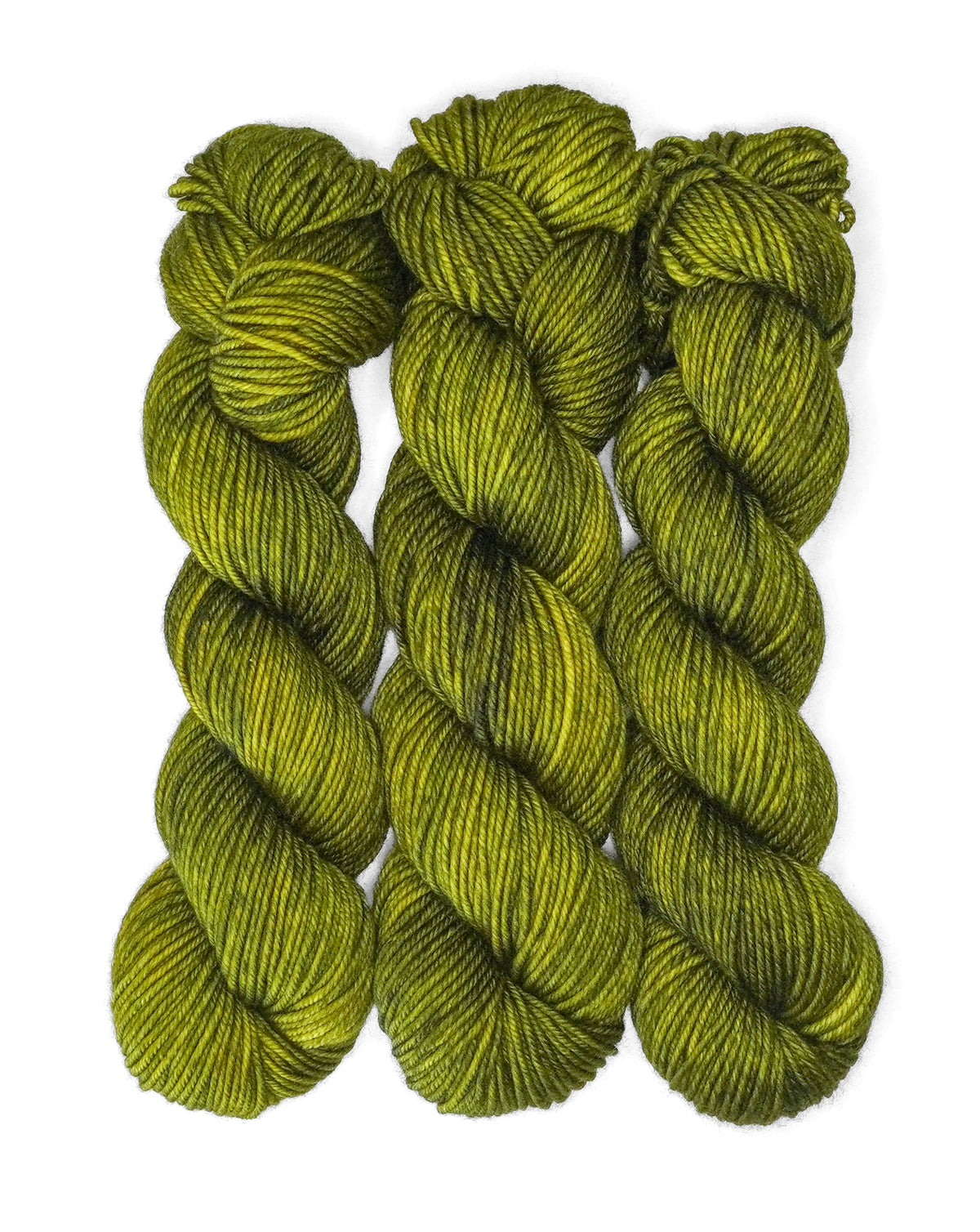 Wild Woollys Sock Yarn superwash merino wool nylon fiddlehead fern