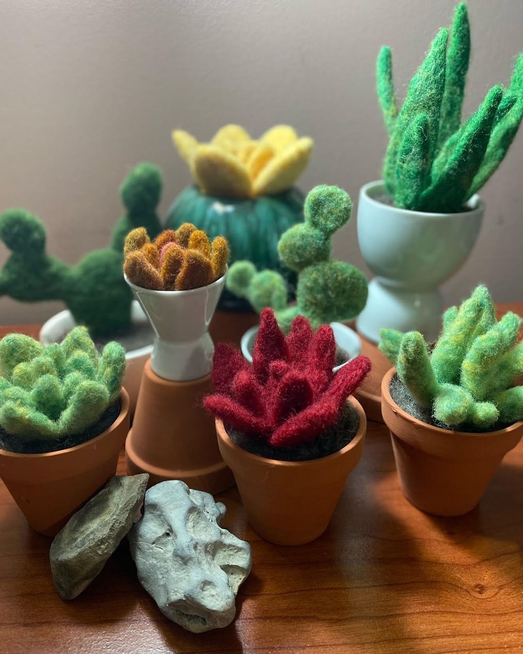 Workshop: Intro to Needle Felting - Succulent