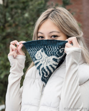 Octopus Cowl Kit in Dunlin and Brook Farm Fingering pattern by Elizabeth Elliott