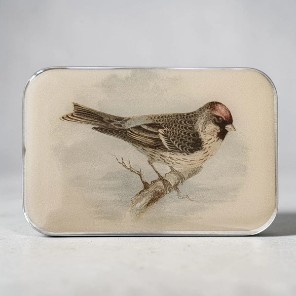 Firefly Notes Notions Tin resin redpoll bird