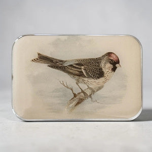 Firefly Notes Notions Tin resin redpoll bird