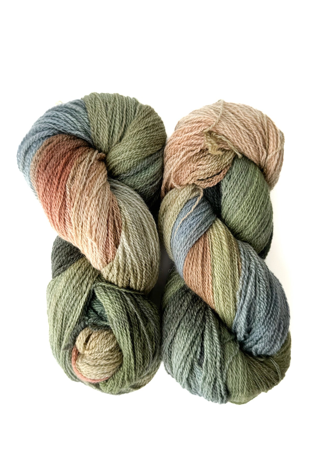 Fleece Artist BFL 2/8 blue faced leicester wool sea oak lot 2