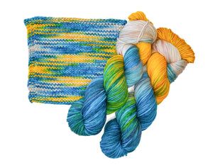 Wild Woollys Sock Yarn superwash merino wool nylon tropical escape