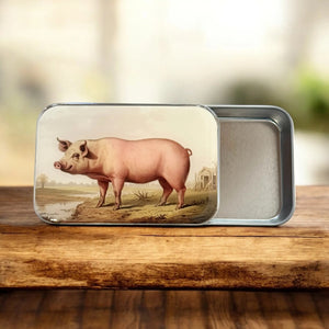 Firefly Notes Notions Tin resin vintage pig