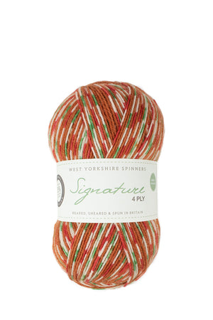 West Yorkshire Spinners Signature 4-ply wool nylon 1109 gingerbread