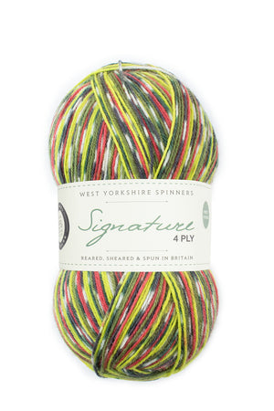 West Yorkshire Spinners Signature 4-ply wool nylon 1170 green woodpecker