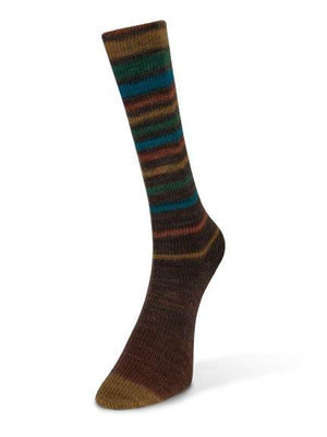 Laines du Nord Infinity Sock wool nylon 16 brown