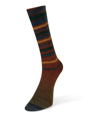 Laines du Nord Infinity Sock wool nylon 17 siena
