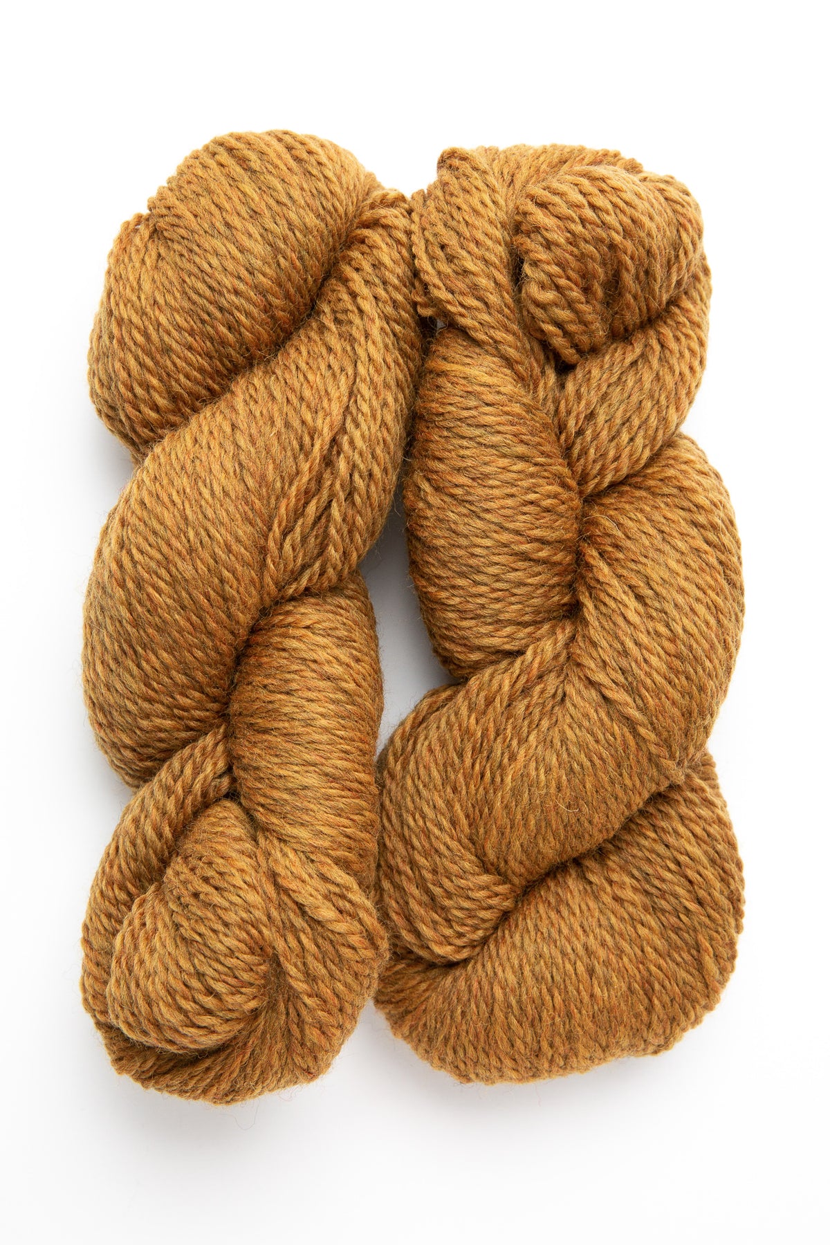 Berroco Mercado wool 4142 oro