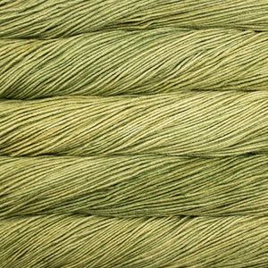 Malabrigo Rios superwash merino wool 688 yerba