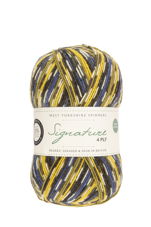 West Yorkshire Spinners Signature 4-ply wool nylon 818 blue tit