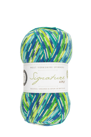 West Yorkshire Spinners Signature 4-ply wool nylon 851 peacock