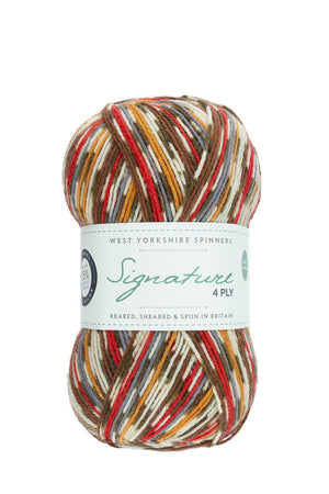 West Yorkshire Spinners Signature 4-ply wool nylon 941 robin