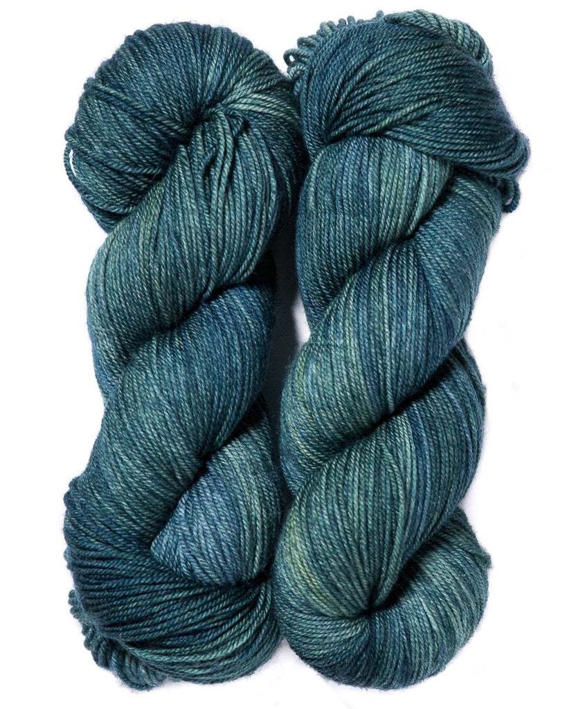 Ancient Arts Socknado superwash merino nylon where the coho go