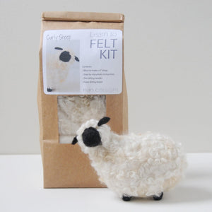 Nan C Designs Learn to Felt Kit wool curly sheep