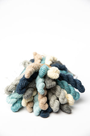 Blue Sky Fibers Woolstok Bundle Kit wool holiday frost