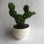 Needle Felting Level 0: Cactus