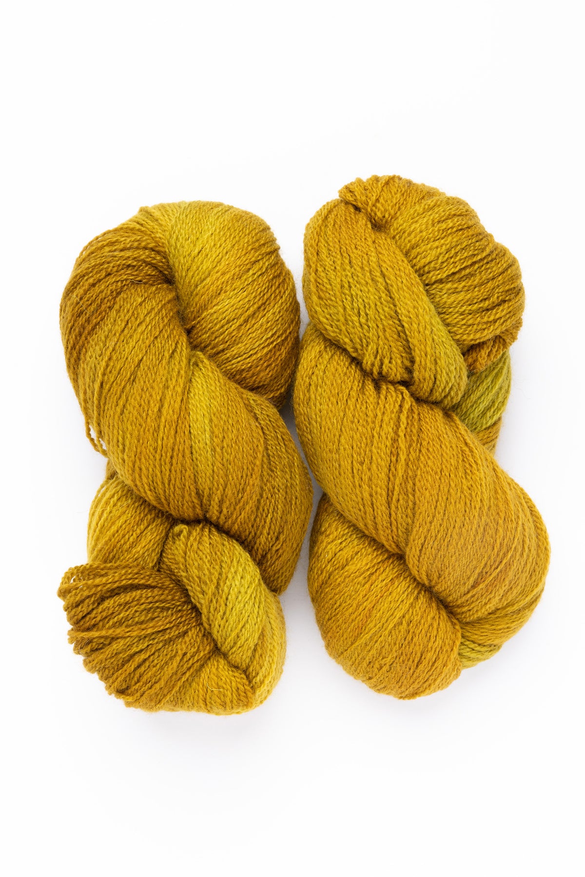 Fleece Artist BFL 2/8 blue faced leicester wool minegold