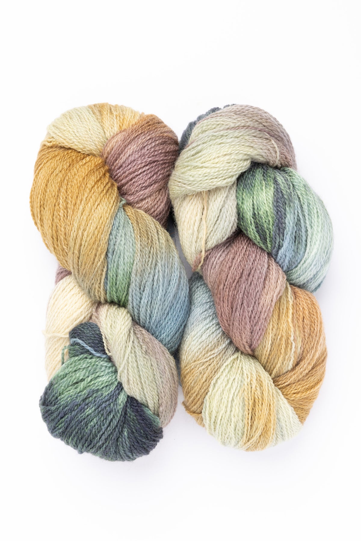 Fleece Artist BFL 2/8 blue faced leicester wool sea oak